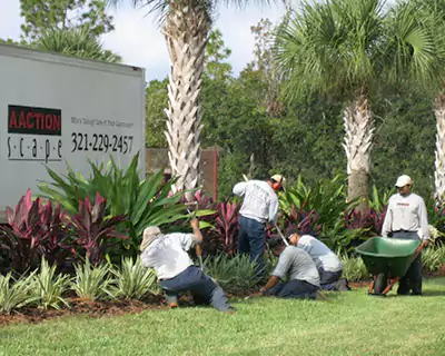 Landscape Contractor, Orlando, FL