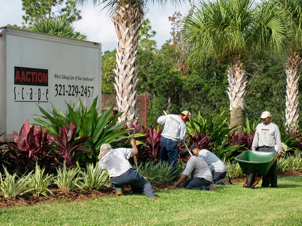 Landscape Installation