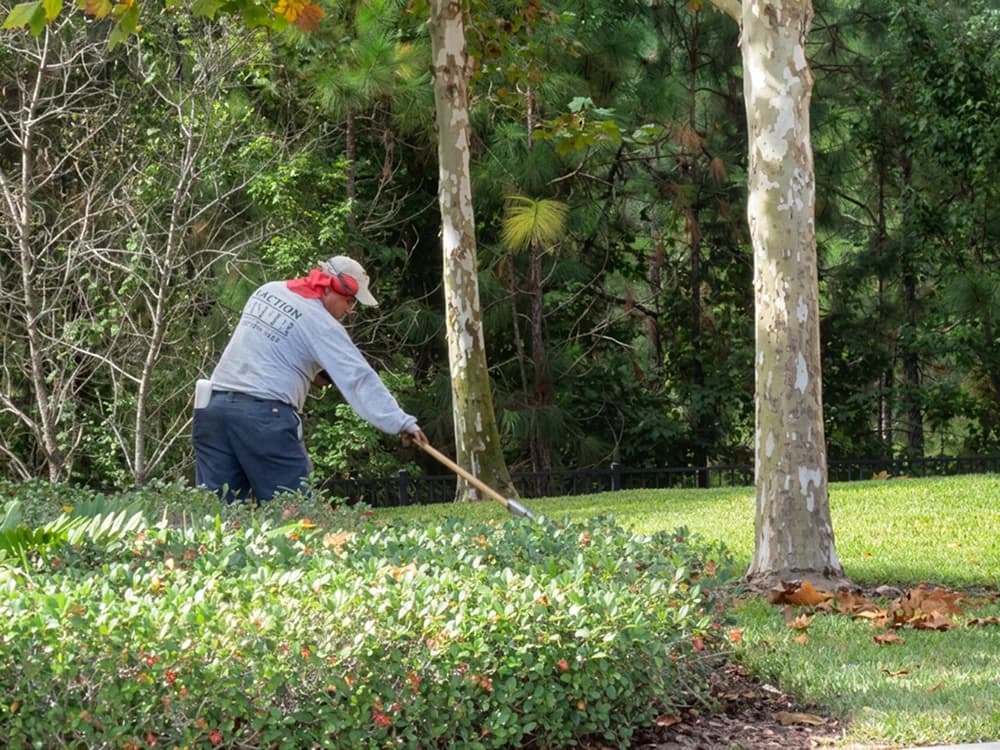 Landscape Maintenance