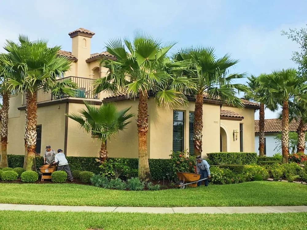 Landscaping