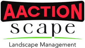 AAction Scape, Inc.