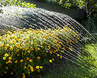 Irrigation, Orlando, FL